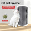 Pet Self Grooming Catnip Massage Comb