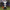 Airblown Inflatable Skeleton Boy, 3.5 Ft Tall, Multicolored, Halloween Yard Decoration