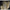 47.2 In. Animatronic Ghost Bride Halloween Decoration