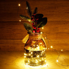 , 4 Inches Indoor Outdoor, LED String Light Dimmable Control Starry Green Wire Lights Home Lighting Bedroom Wedding X-Mas Party Decoration, Warm White