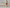 Holiday 4-Piece Iced Beverage Glass Set – Christmas Dinnerware