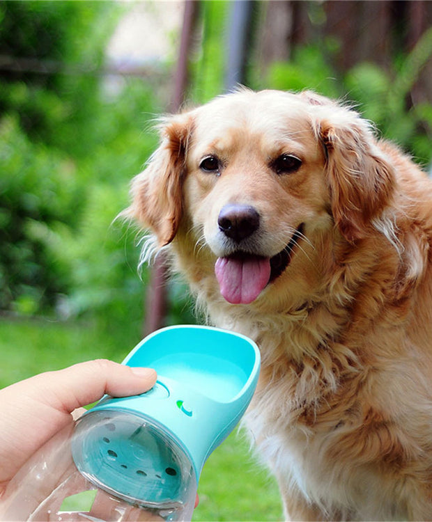 Pet Water Cup Outdoor Portable Water Bottle