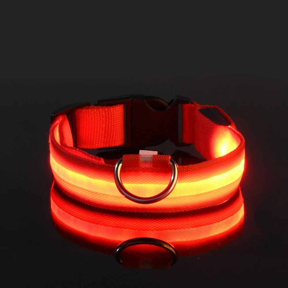 LED Glow Dog Leash & Collar – Night Safety Flashing Nylon Pet Collar