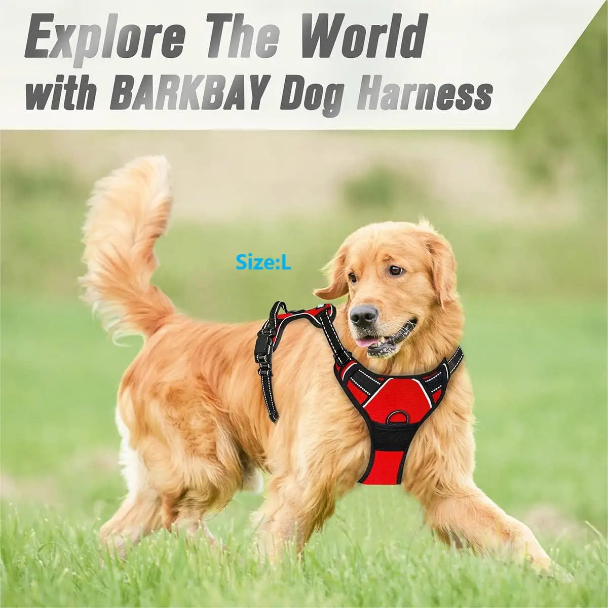 No-Pull Dog Harness with Front Clip – Reflective Heavy-Duty Harness for Large Dogs