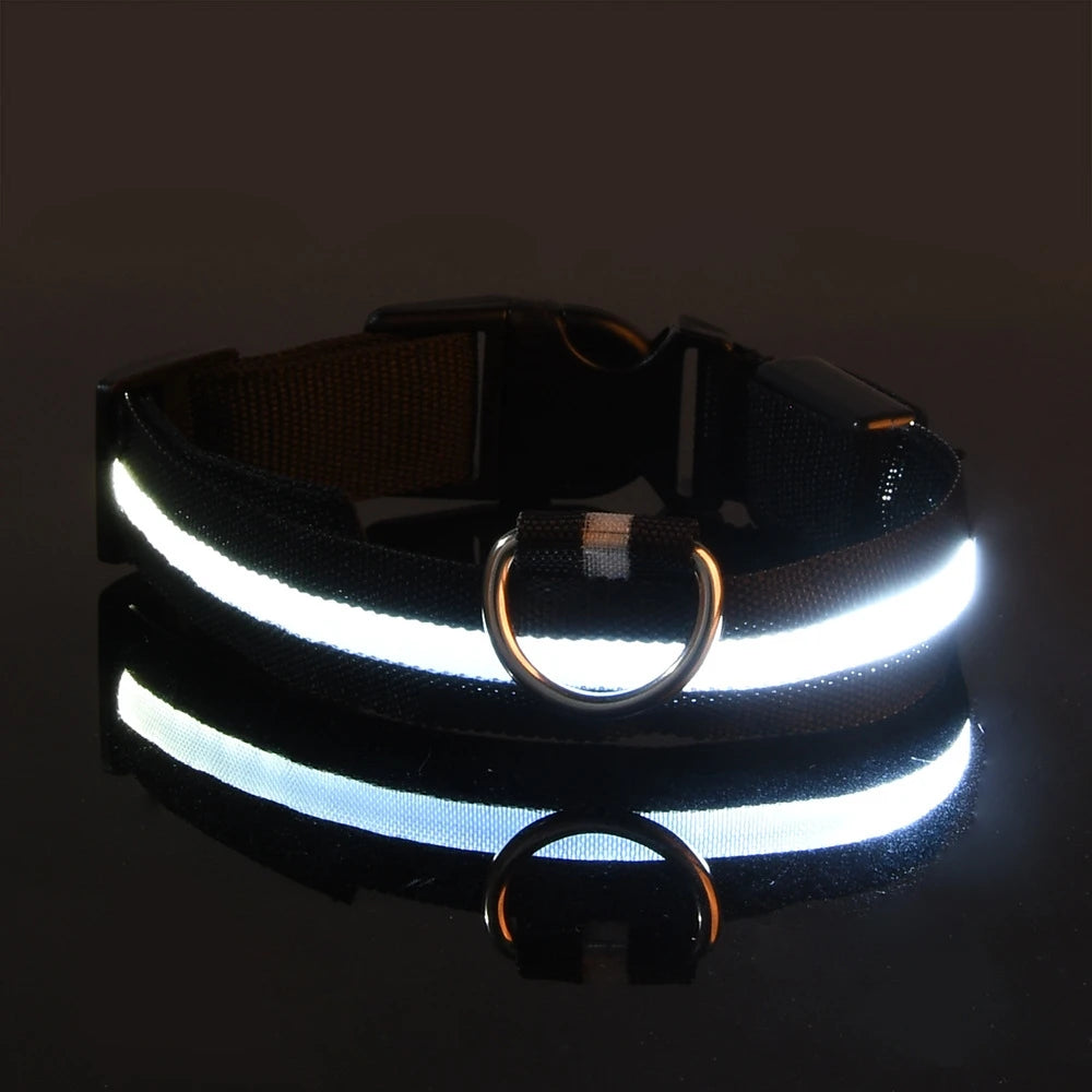 LED Glow Dog Leash & Collar – Night Safety Flashing Nylon Pet Collar