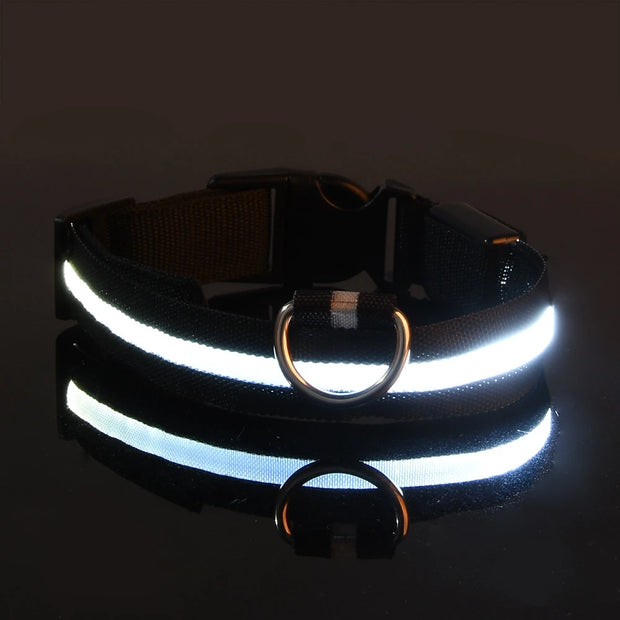 LED Glow Dog Leash & Collar – Night Safety Flashing Nylon Pet Collar