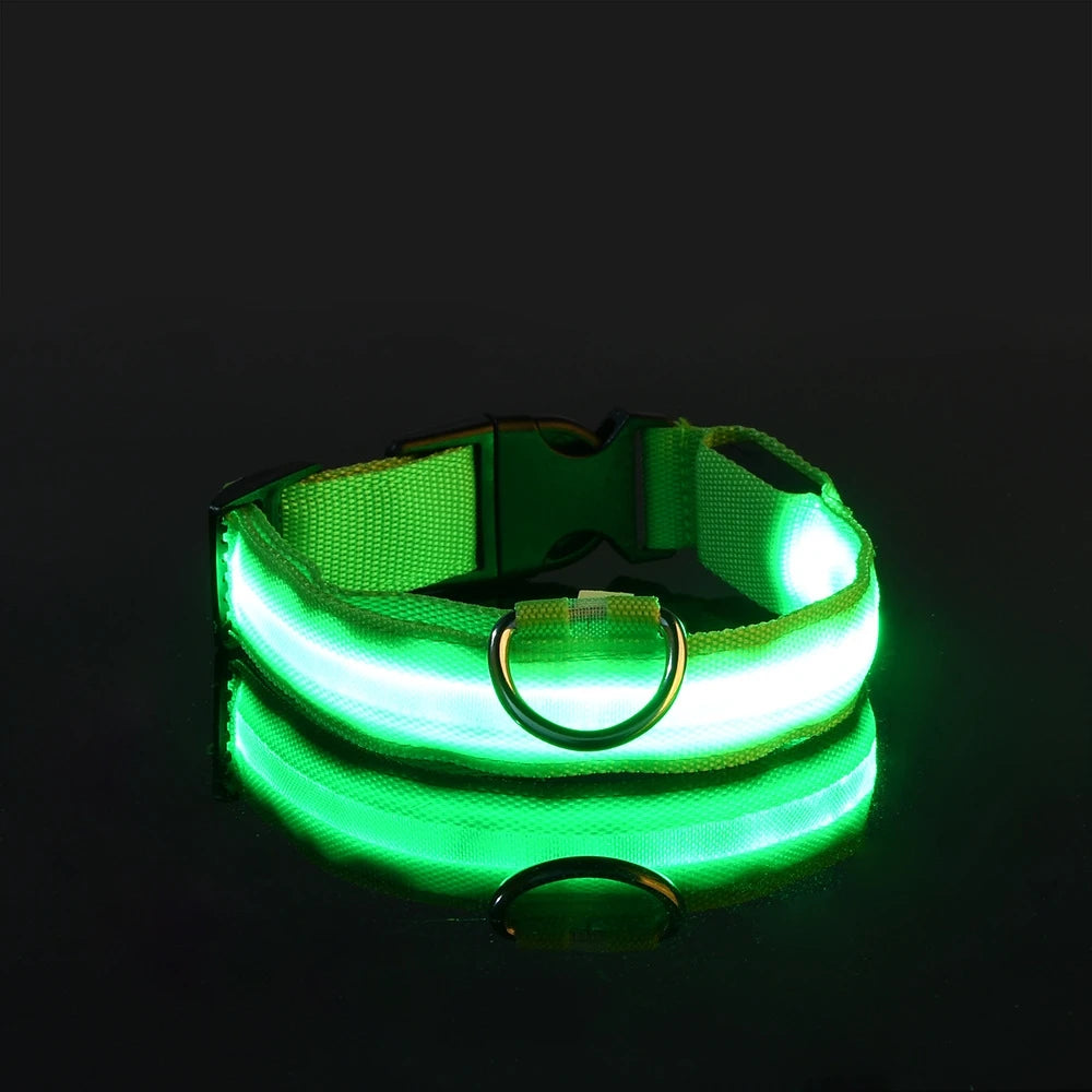 LED Glow Dog Leash & Collar – Night Safety Flashing Nylon Pet Collar