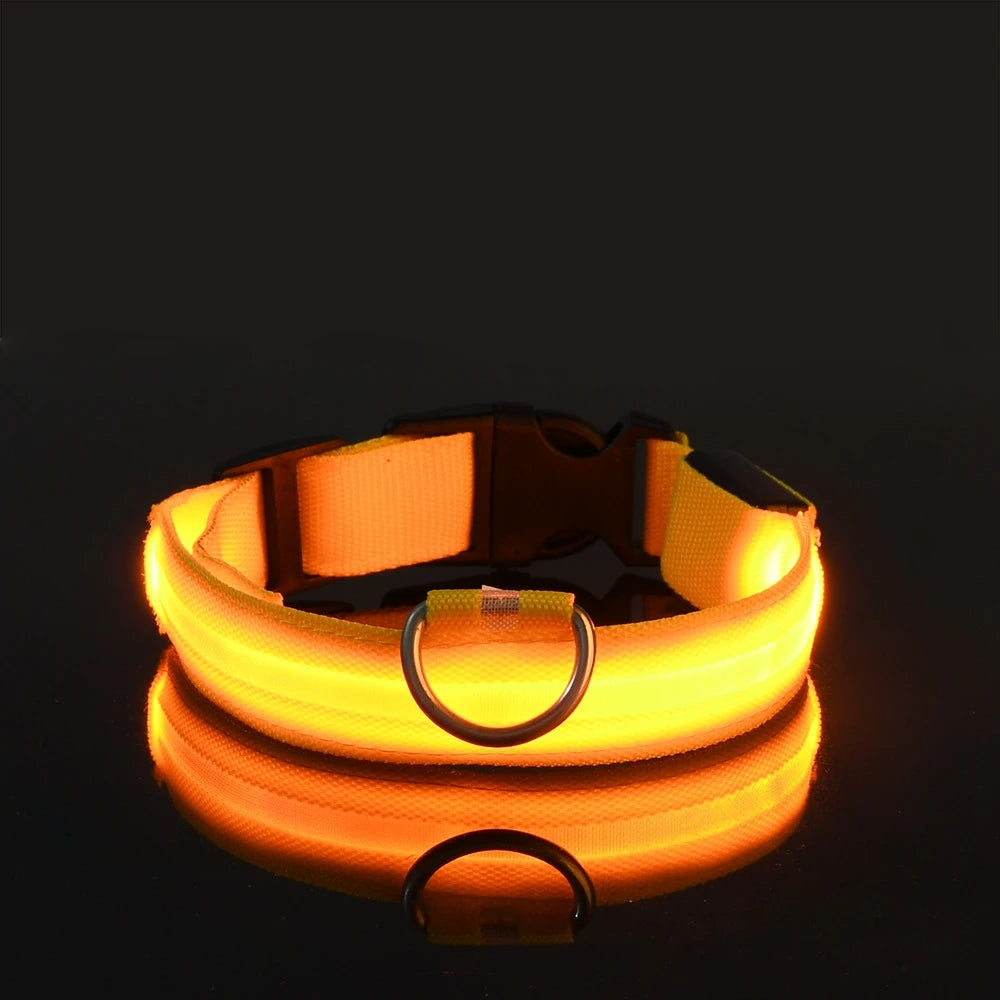 LED Glow Dog Leash & Collar – Night Safety Flashing Nylon Pet Collar