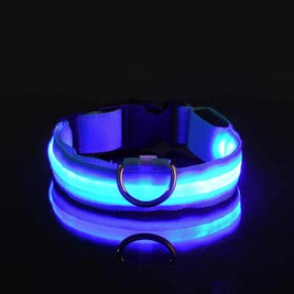 LED Glow Dog Leash & Collar – Night Safety Flashing Nylon Pet Collar