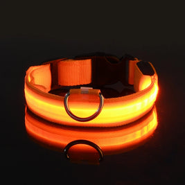 LED Glow Dog Leash & Collar – Night Safety Flashing Nylon Pet Collar