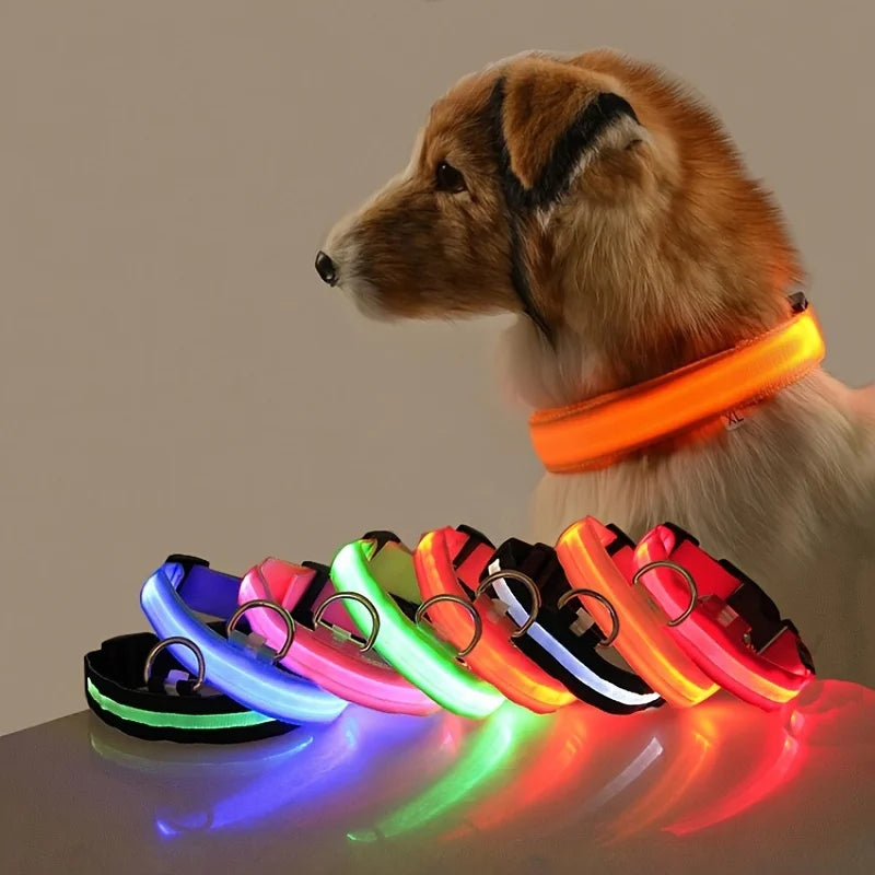 LED Glow Dog Leash & Collar – Night Safety Flashing Nylon Pet Collar