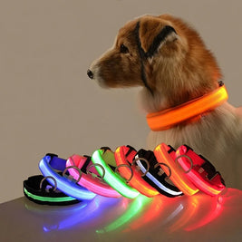 LED Glow Dog Leash & Collar – Night Safety Flashing Nylon Pet Collar