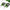 Automatic Retractable Dog Leash – Portable Telescopic Leash for Small & Medium Dogs
