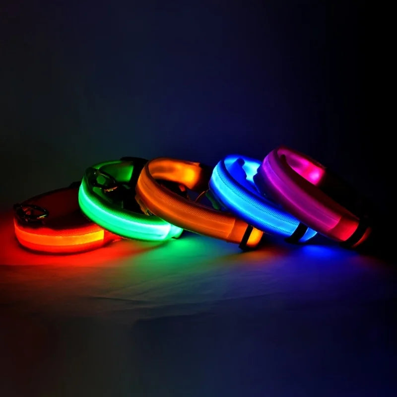 LED Glow Dog Leash & Collar – Night Safety Flashing Nylon Pet Collar