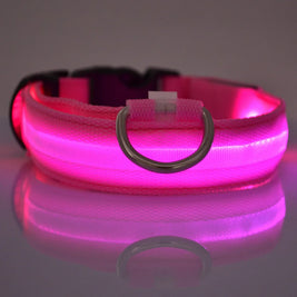 LED Glow Dog Leash & Collar – Night Safety Flashing Nylon Pet Collar