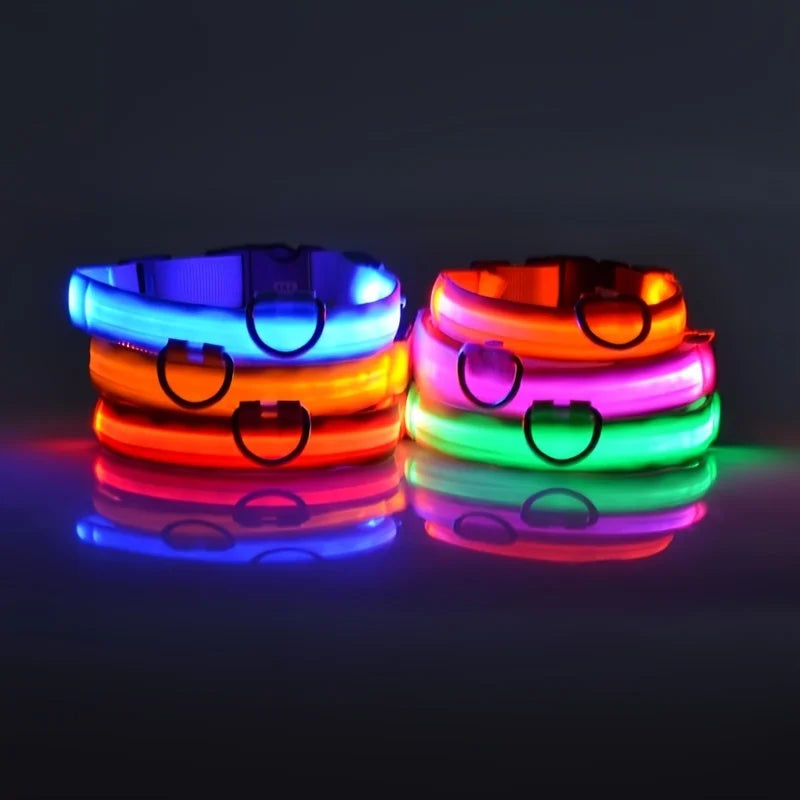 LED Glow Dog Leash & Collar – Night Safety Flashing Nylon Pet Collar