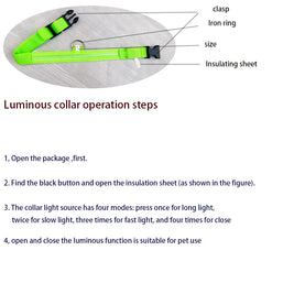 LED Glow Dog Leash & Collar – Night Safety Flashing Nylon Pet Collar