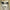 47.2 In. Animatronic Ghost Bride Halloween Decoration