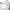 48-In Freestanding Angel Yard Decoration with Clear LED Lights