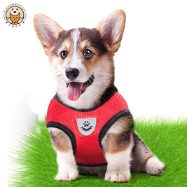 Adjustable Cat & Dog Harness Vest – Breathable Mesh Leash Set for Small & Medium Pets